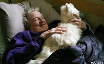 Una anciana con demencia encontró sosiego en un gato robótico