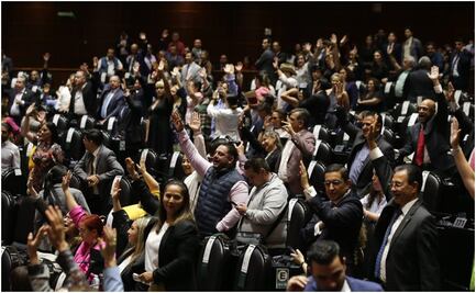 Presidenta de Comisión de Seguridad Social culpa a Mesa Directiva de cambiar dictamen del Fondo de Pensiones