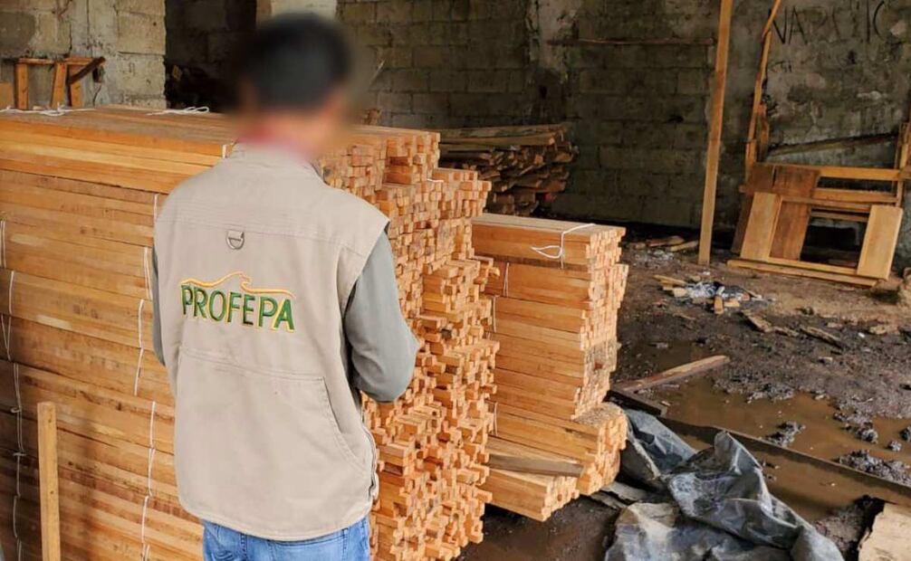 Profepa y Guardia Nacional desmantelan aserradero ilegal en Morelos el pasado viernes 5 de septiembre de 2025. Foto: Profepa