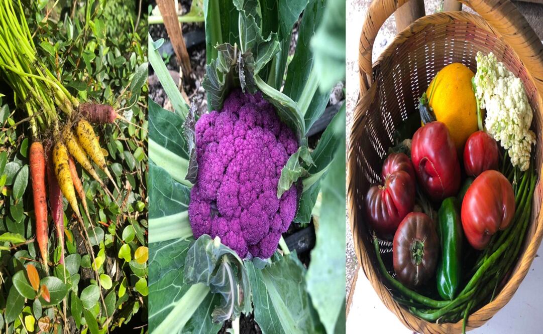 Los asistentes conocerán el origen de los ingredientes que se usan para la elaboración de los platillos. (Foto Cortesía)