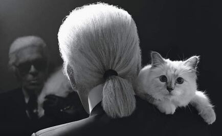 No es Choupette, sino su amante, el heredero principal de Karl Lagerfeld