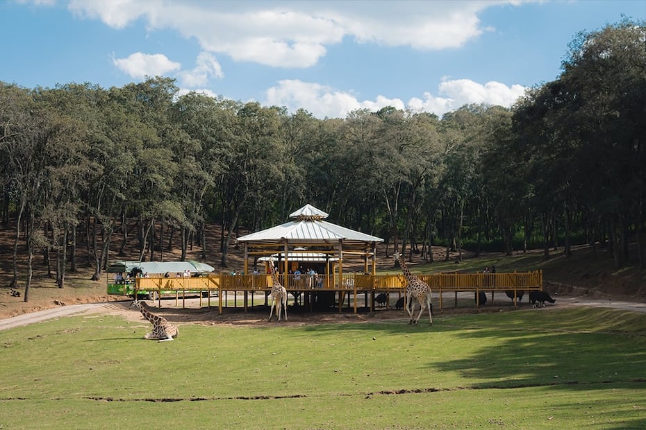 Bioparque Estrella cuenta con el apoyo de profesionales para aprender sobre el cuidado de las especies. Foto: Facebook Bioparque Estrella