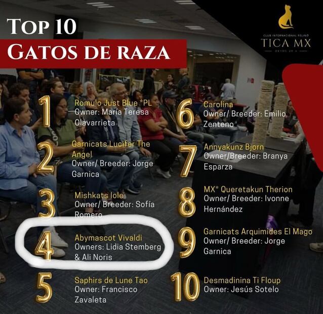 Luis Fernando Peña y su esposa Aly Noris solicitan información sobre su gatito perdido. 
Premios del gatito "Vivaldi"
Fotos: Especial