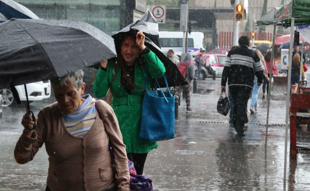 Foto: Carlos Mejía/EL UNIVERSAL