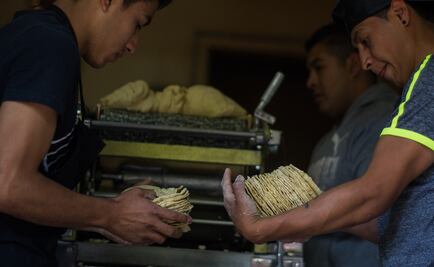 Profeco no permitirá aumento a tortilla para ganancias "impúdicas"