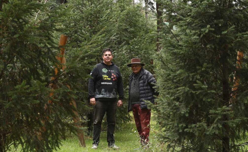 Joao Manoel, junto a su padre, quien lo apoyó en la iniciativa de renta de árboles navideños. Foto: Berenice Fregoso.