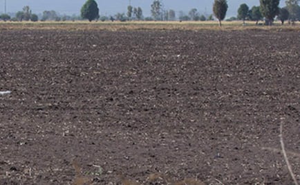 Mitigar cambio climático requiere medidas de índole integral: Molina