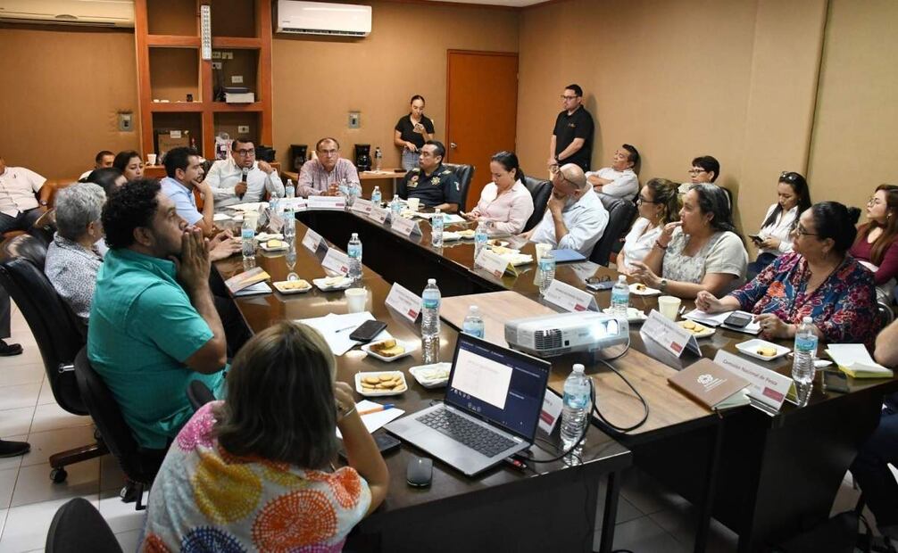 El comité, señaló que en la línea costera y mar adentro se detectaron concentraciones de las microalgas tóxicas (12/08/2025). Foto: Especial