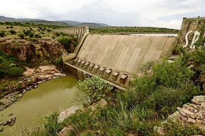 Buscan salvar especies en peligro de extinción en semidesierto