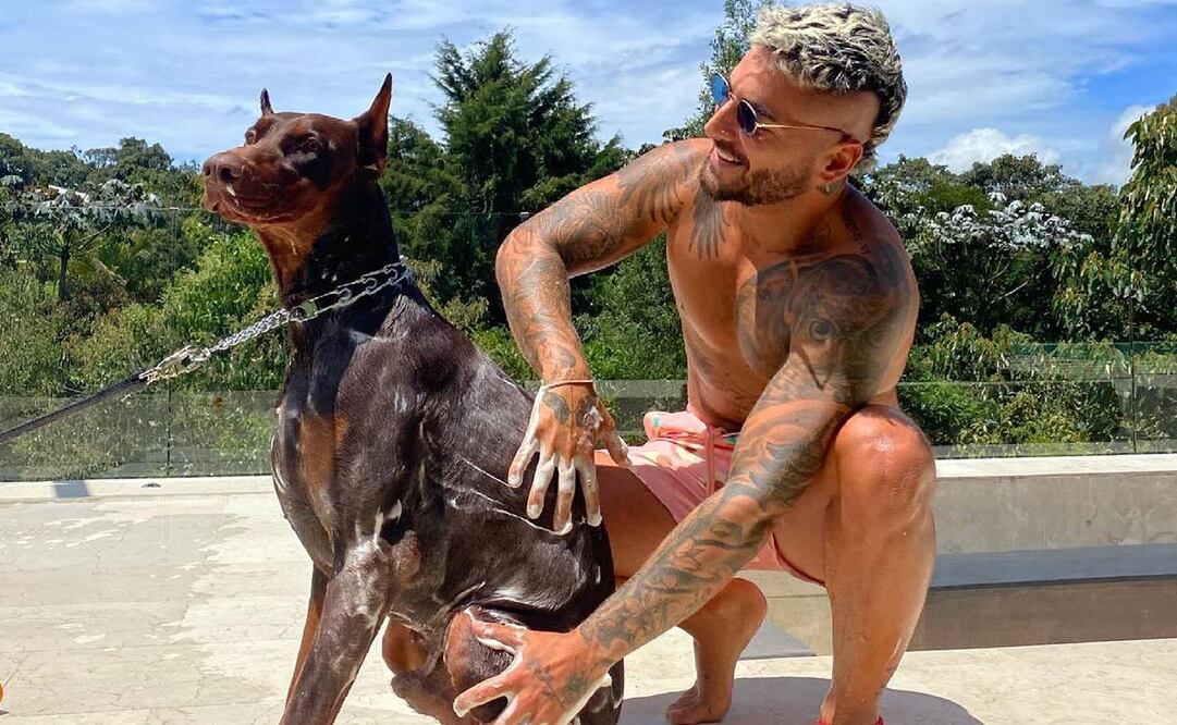 El colombiano tiene tres perros, dos de los cuales tienen cuenta en Instagram. Foto: Instagram