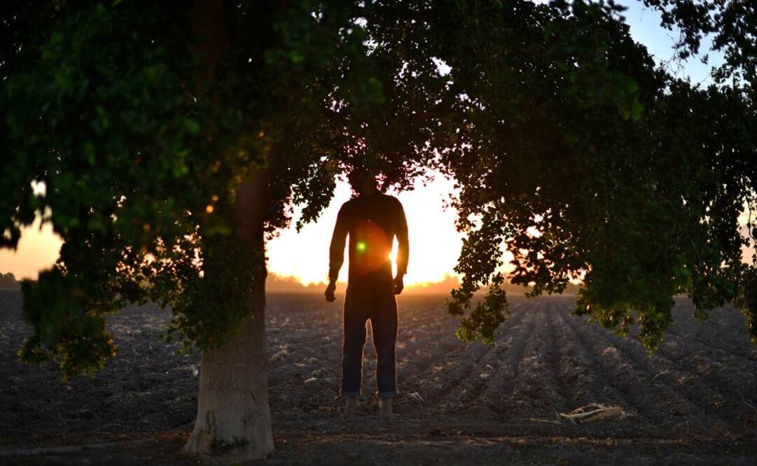 "El Campo (Suicidio en Balbuena)" obra de Fernando Brito que recibió mención honorífica. (FOTO: Fernando Brito/Tomada de museocarrillogil.com)