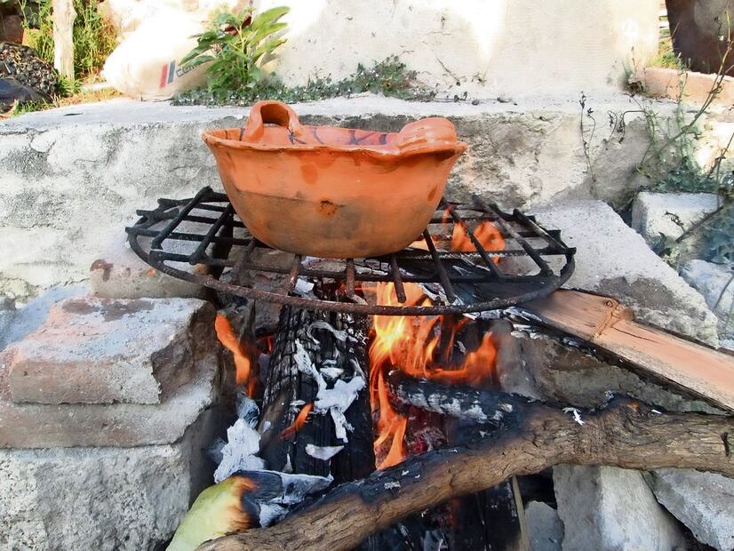 La especialista hirvió distintas partes óseas de cerdo a diferentes temperaturas y con variados ingredientes como parte del experimento.