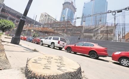 Dinero de multa interpuesta a Mítikah se usará en mejorar zona donde hubo talas