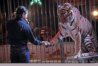 “¡Pasen a ver la última función con animales!”