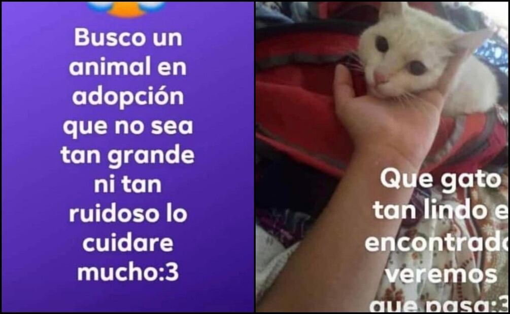 Foto: Especial