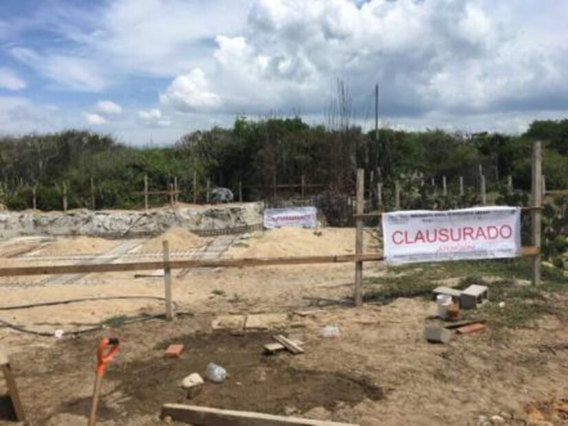 Profepa cancela obra junto a santuario tortuguero en Oaxaca
