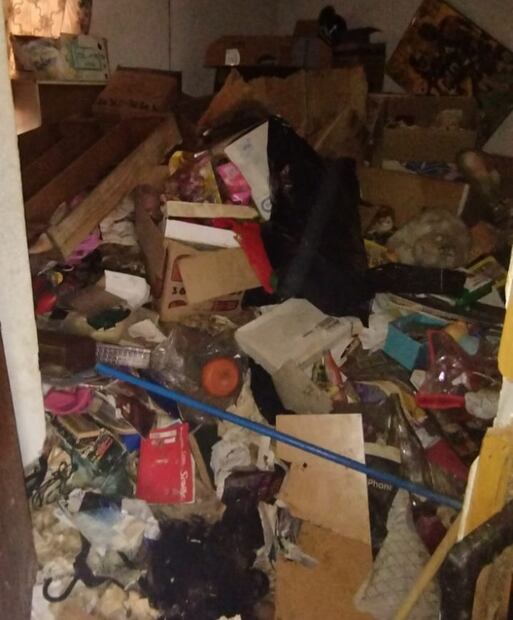 Lugar en que fueron hallados los 13 gatos. Foto: Especial