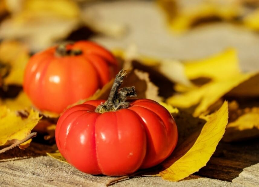 Seis variedades de tomates que alguna vez has comido y no lo sabías  