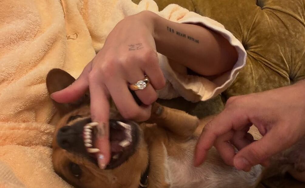 El anillo de la cantante podría costar hasta 270 mil dólares, según estiman expertos en joyería. Foto: Especial. Instagram @dualipa
