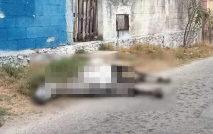 Hallan cadáver de un caballo luego de ser abandonado en calles de Yucatán; tenía signos de desnutrición y maltrato