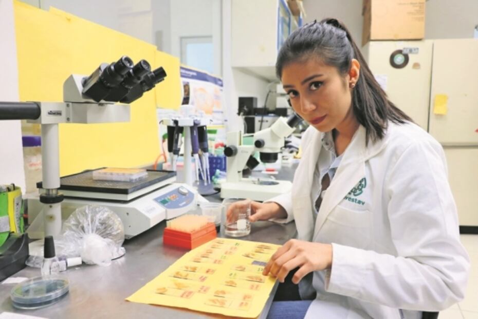 Advierten opacidad de 50 mmdp en programa especial para ciencia