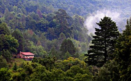Vacaciones por menos de 2 mil pesos