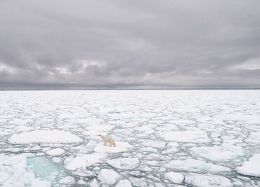 Hielo del Ártico alcanza récord por sus niveles más bajos en 40 años