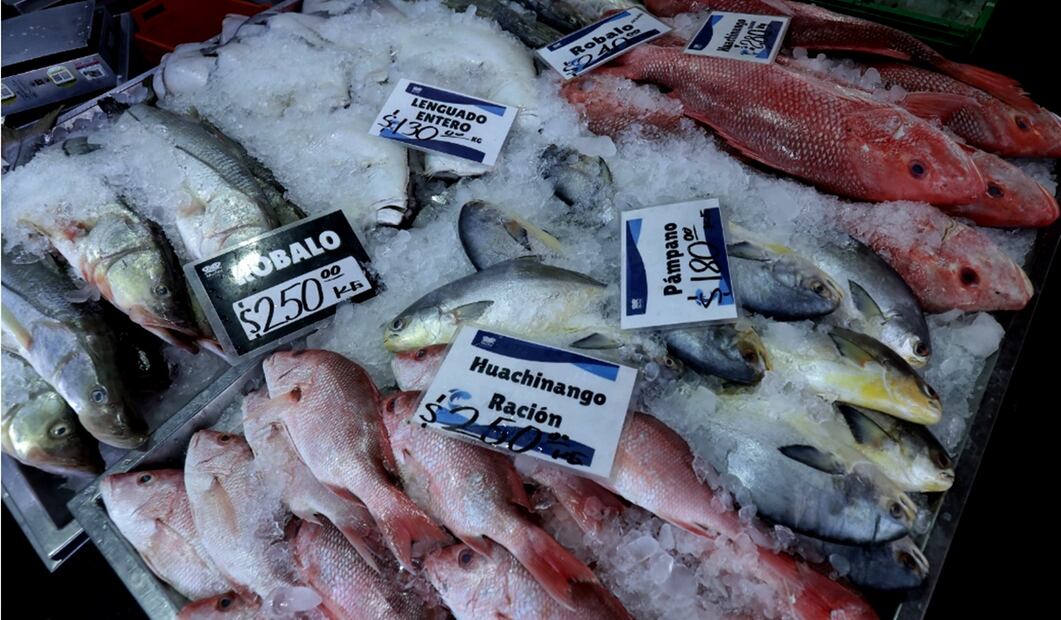 Comerciantes de La Nueva Viga están listos para la venta de pescados y mariscos a propósito de la época de Cuaresma, el 7 de marzo de 2025. Foto: Fernanda Rojas/EL UNIVERSAL