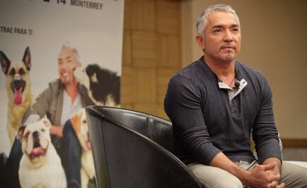 Video podría exonerar a César Millán