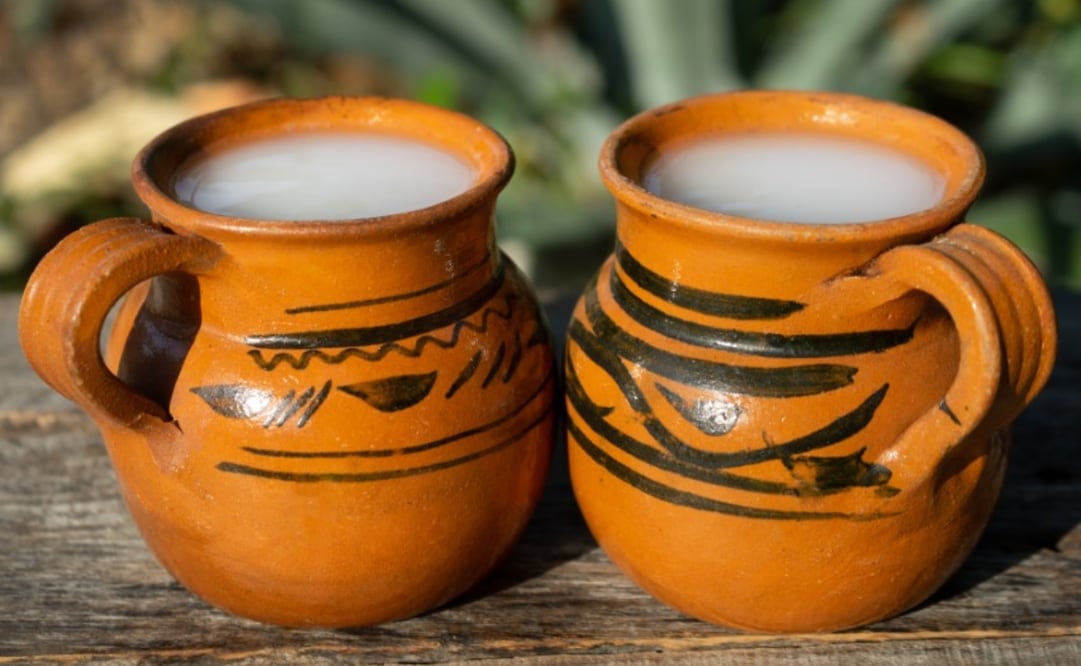 Entre los beneficios que tiene el pulque cuando se consume con moderación es su buen impacto en el sistema digestivo y salud intestinal. Foto: iStock