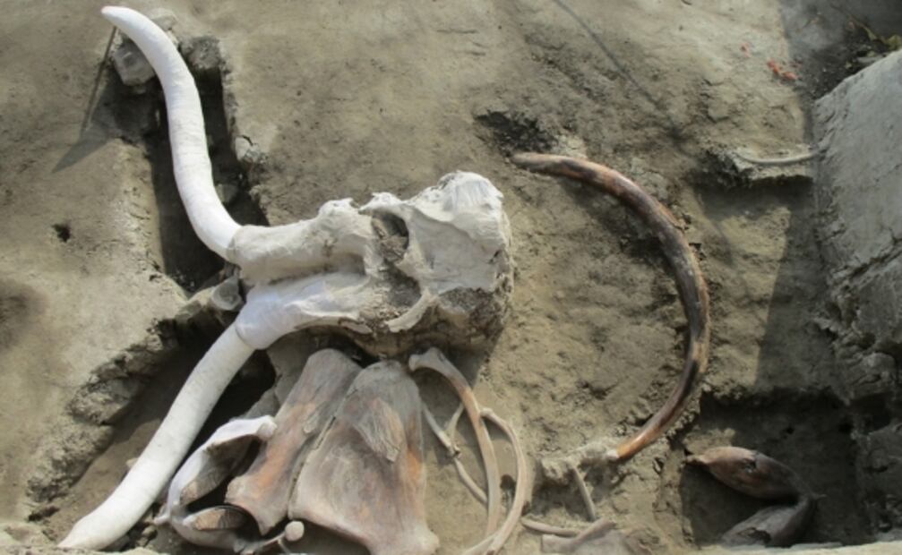 Encuentran en Tultepec primera trampa de mamut en el mundo