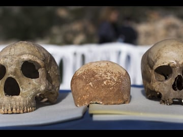 Los neandertales se extinguieron por estrés ante la llegada del Homo sapiens