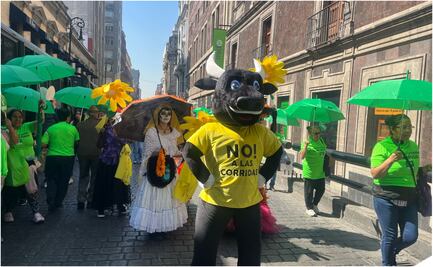 Activistas y animalistas celebran con batucada la aprobación del dictamen que protege a los toros