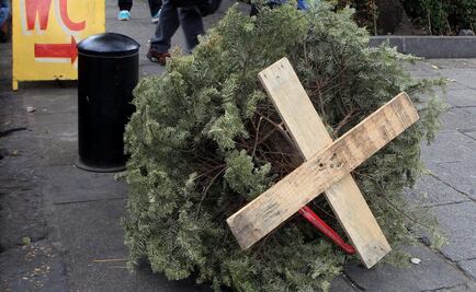 Alcaldías alistan centros de acopio para recibir árboles de Navidad