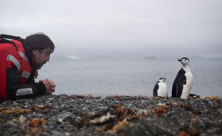 Desde la Antártida, Javier Bardem pide protección del océano
