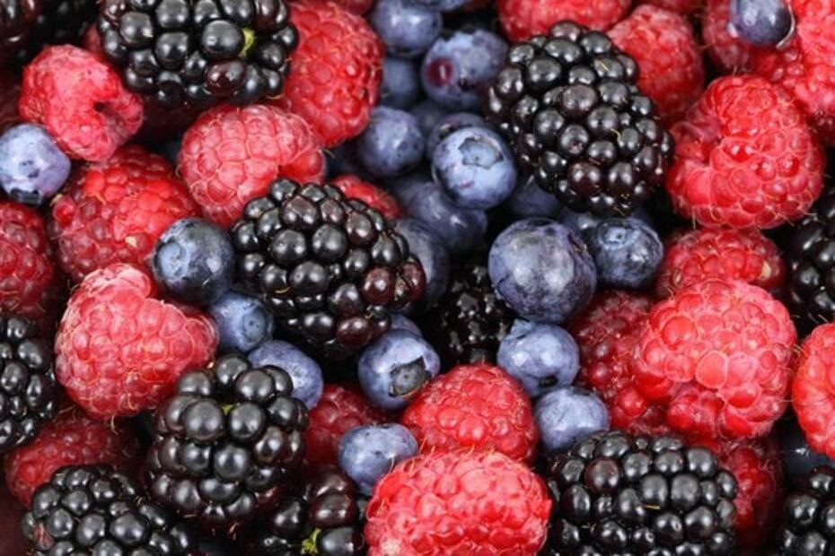 Evita estos errores comunes al almacenar alimentos