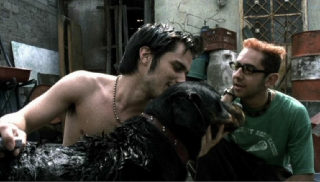 El día que Gael García profetizó el éxito de "Amores perros"