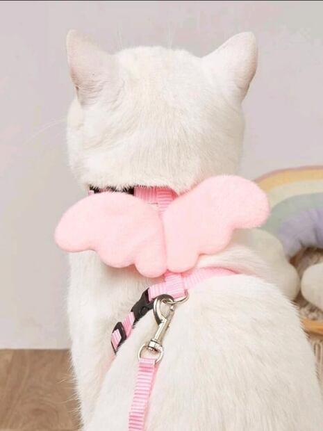 Estos son los mejores regalos de Navidad para tu mascota 