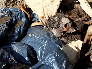 Mass graves with at least 166 bodies found in Veracruz