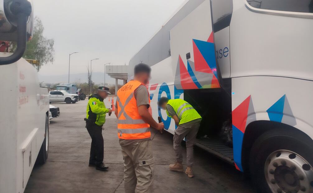 Inspector de la Profepa verificando camión durante operativo. Foto: Profepa