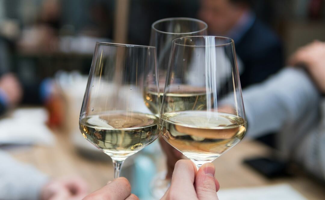 7 verdejos de Rueda que debes conocer. Foto: Unsplash