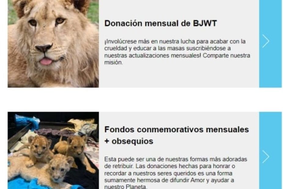 Así la fundación Black Jaguar-White Tiger pedía donativos; felinos vivían en condiciones deplorables