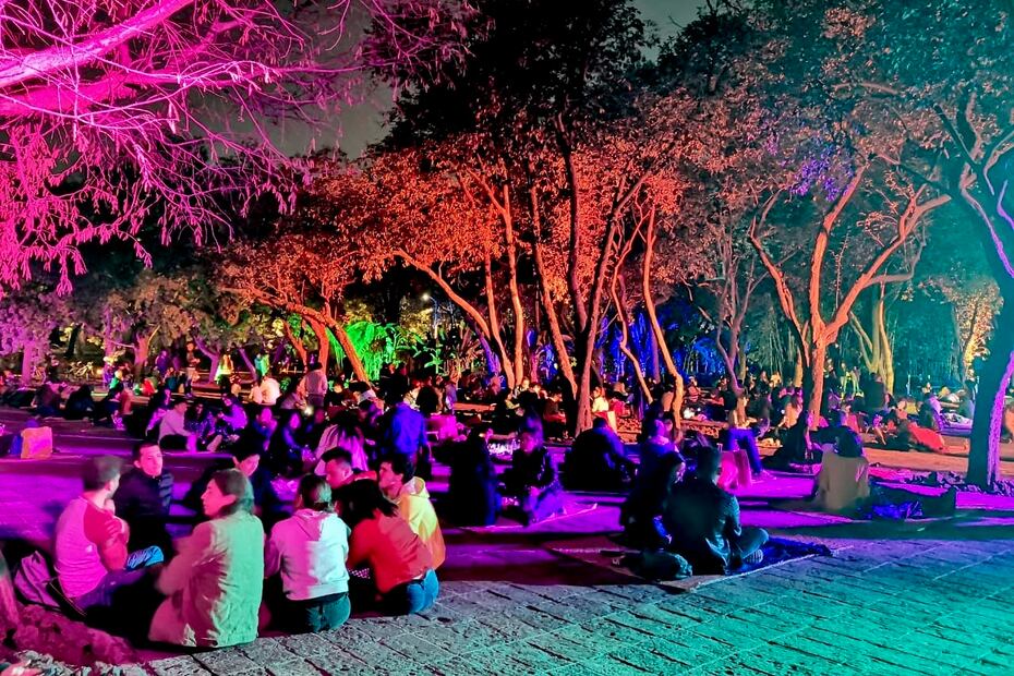 Picnic Nocturno en Chapultepec. Foto: Sedema