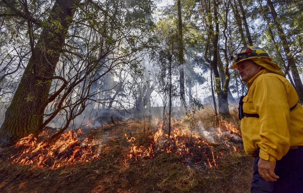 Integrantes de la Brigada ejidal de Atlapulco y brigadistas de Conafor sofocan un incendio en el Valle de Potrero, Acazulco, Estado de México. Foto: Cuartoscuro.com