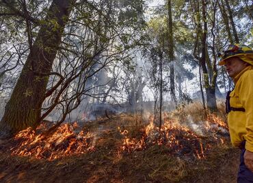 Sofocan incendio forestal en Parque Nacional La Malinche en Tlaxcala; el sitio permanecerá cerrado hasta nuevo aviso
