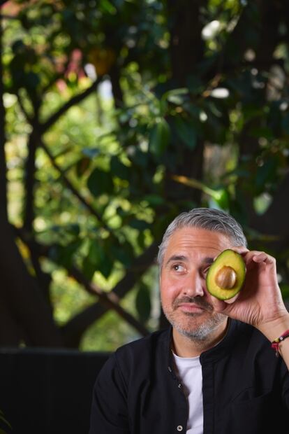 Aguacate, el fruto más querido y cotizado