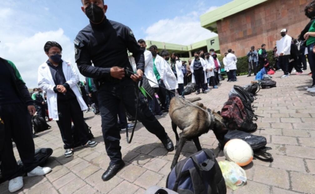 Perritos encabezan operativo para revisar mochilas en Edomex y evitar ingreso de armas a escuelas