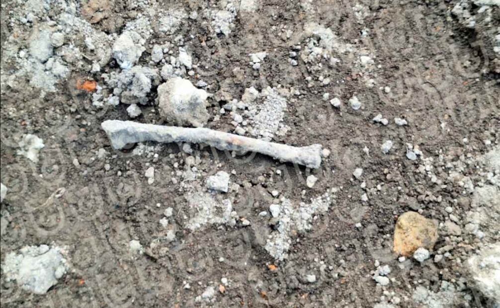 Restos óseos encontrados en el área de construcción  (10/07/2025). Foto: Especial