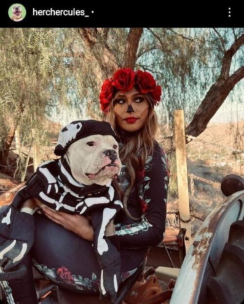 Los disfraces de Halloween más adorables para tu mascota