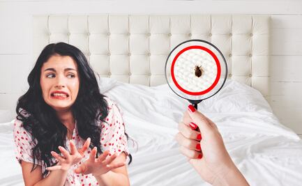 Deshazte de las chinches con ingredientes naturales; remedios caseros para una casa libre de plagas